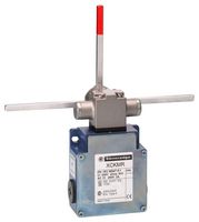 TELEMECANIQUE SENSORS XCKMR54D2H29