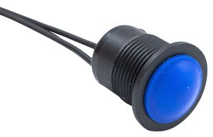 E-SWITCH PMV6DW2BBLU